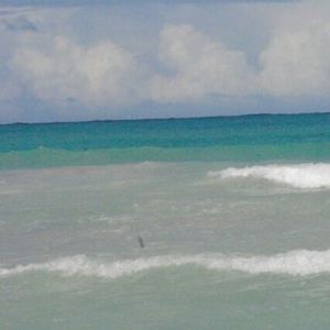 Meet your Posher, Alicia